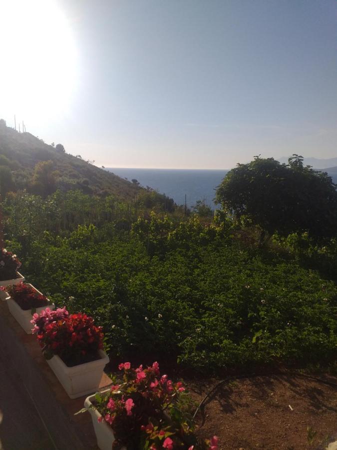 Grand Seaview Ксаміл