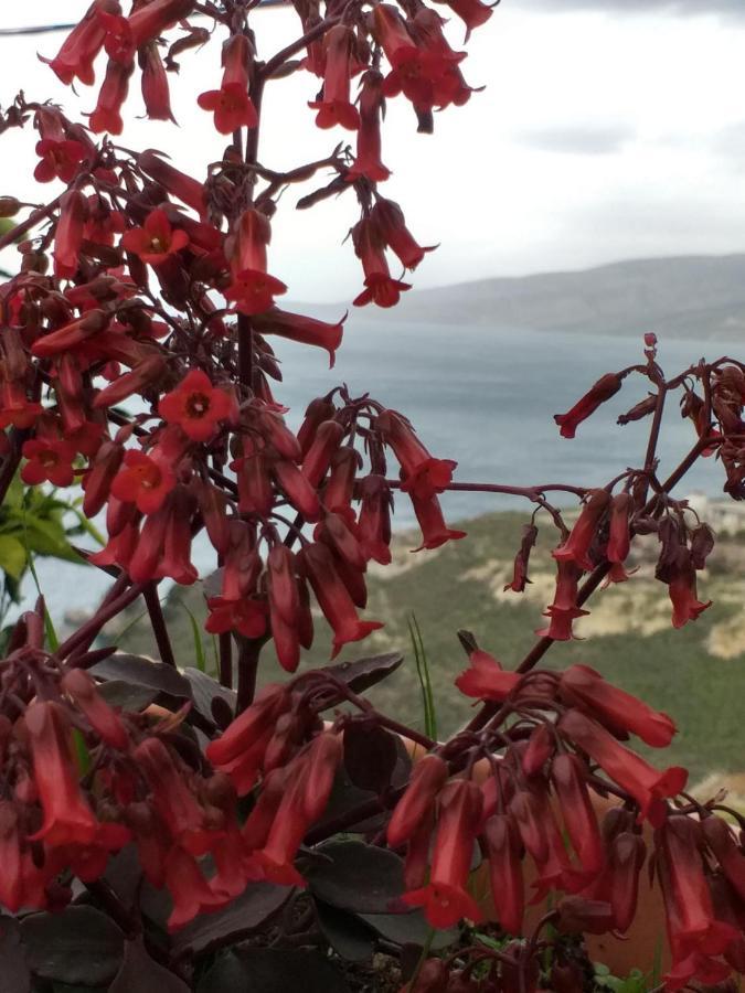 Grand Seaview