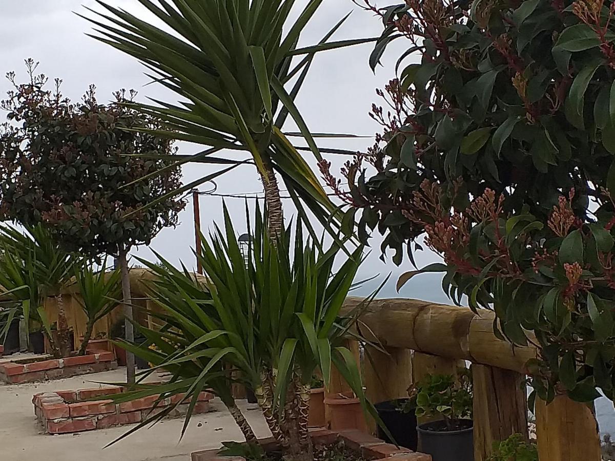 Grand Seaview Appartamento